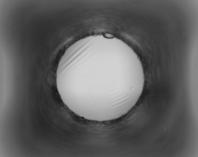 X0000086251207200704261929