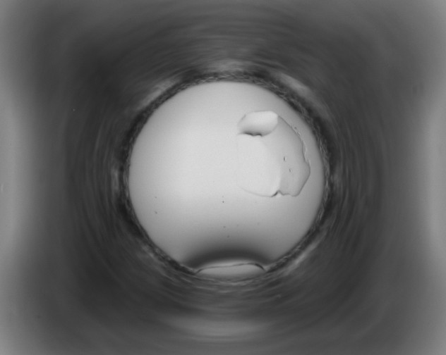 X0000086251209200704261929