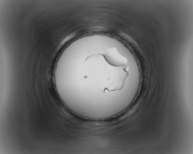 X0000086251210200704261929
