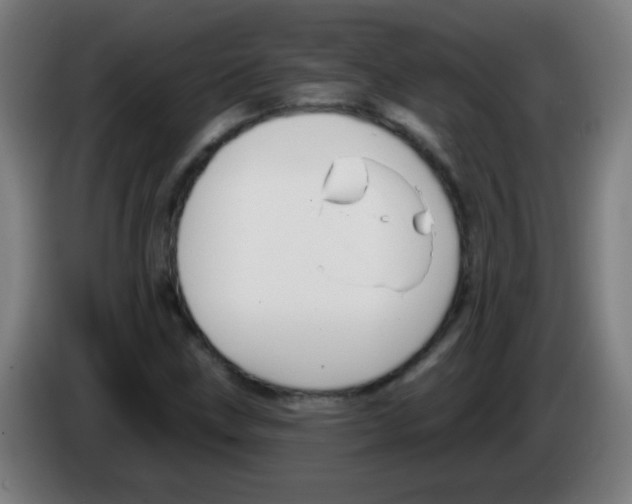 X0000086251211200704261929