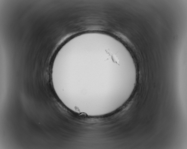 X0000086251212200704261929