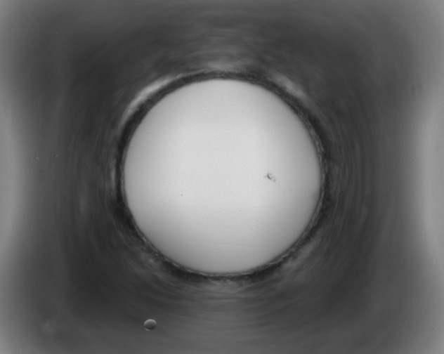 X0000086251214200704261929
