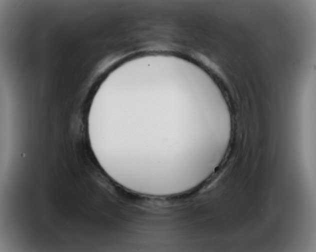 X0000086251215200704261929
