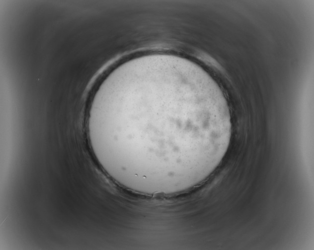 X0000086251216200704261929