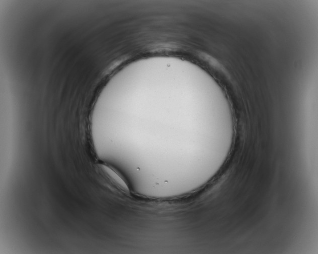 X0000086251217200704261929