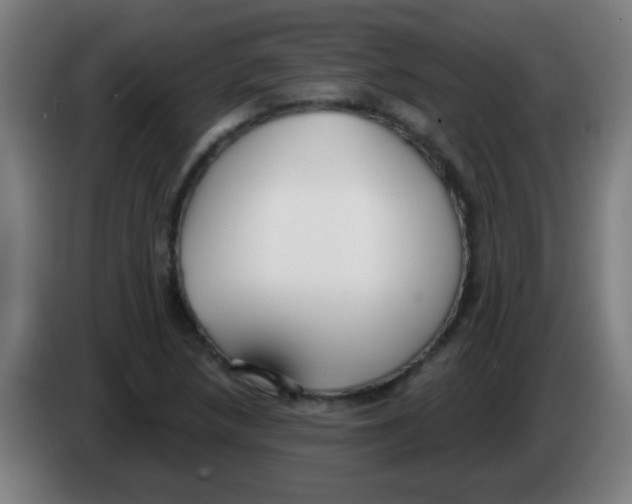 X0000086251218200704261929