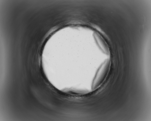 X0000086251221200704261929