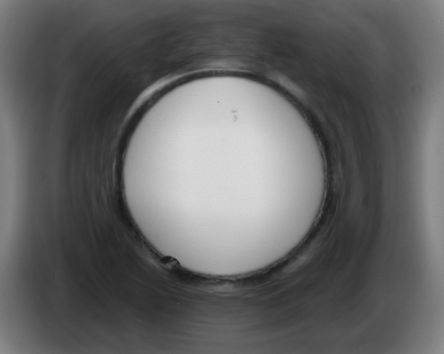 X0000086251222200704261929