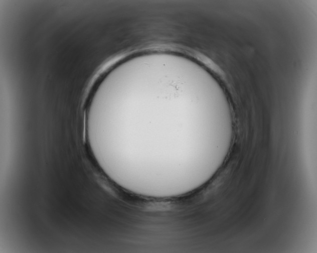 X0000086251223200704261929