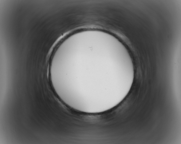 X0000086251224200704261929