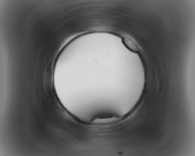 X0000086251228200704261929