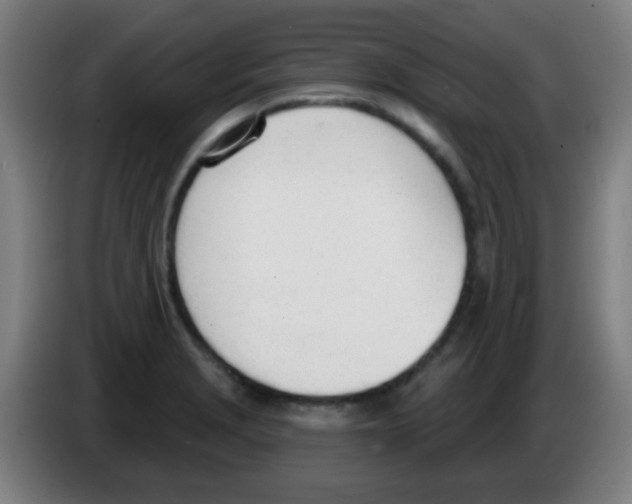 X0000086251229200704261929
