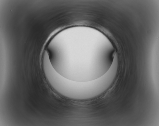 X0000086251230200704261929