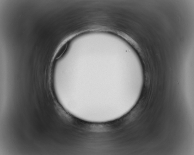 X0000086251231200704261929