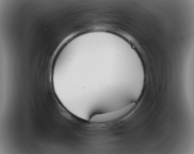 X0000086251232200704261929