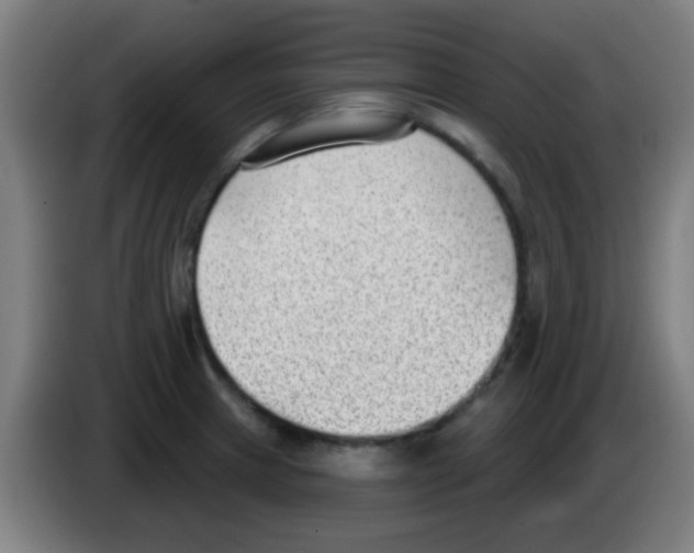 X0000086251233200704261929