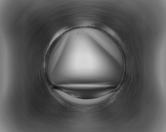 X0000086251234200704261929