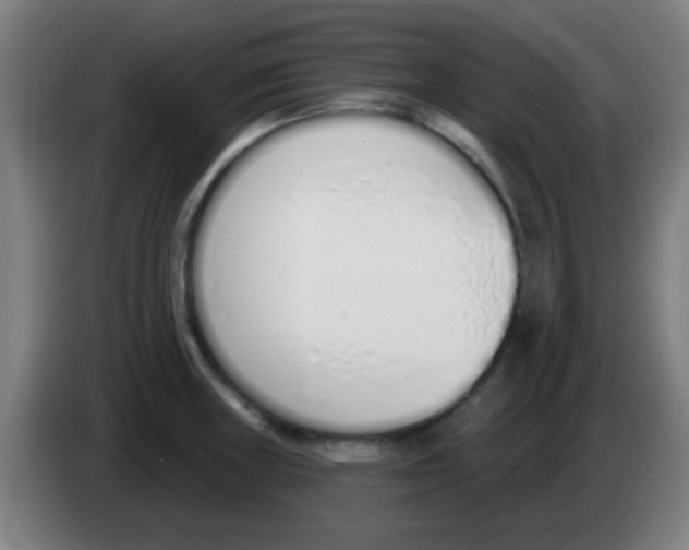 X0000086251235200704261929