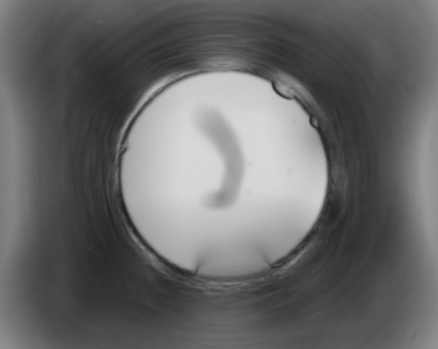 X0000086251236200704261929