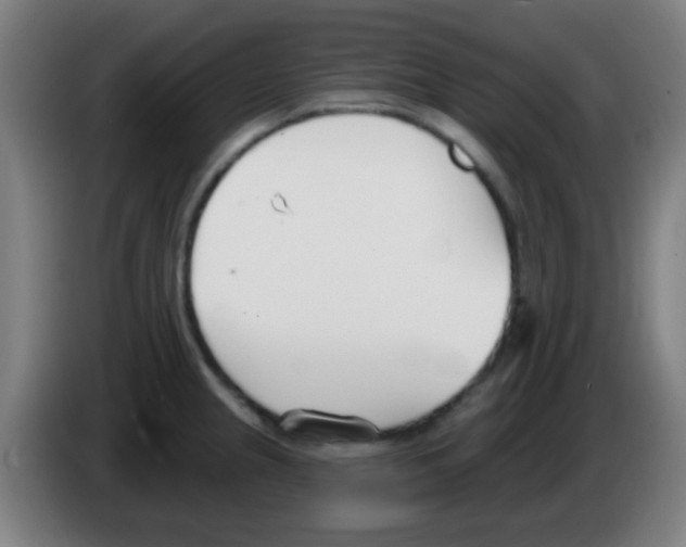 X0000086251237200704261929