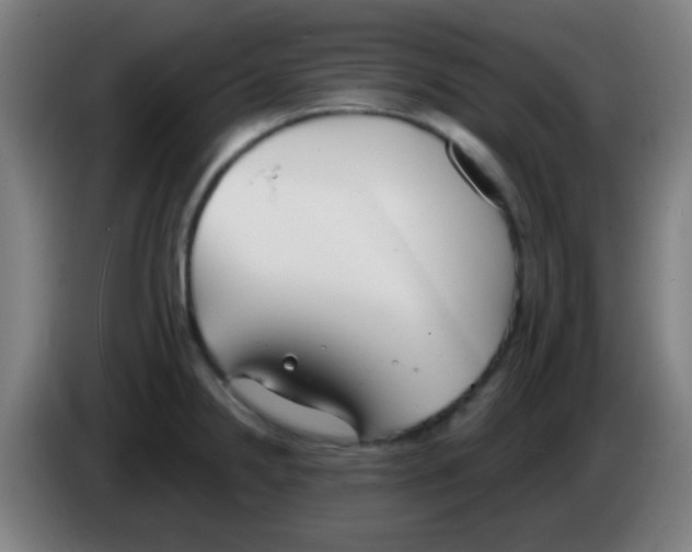 X0000086251238200704261929