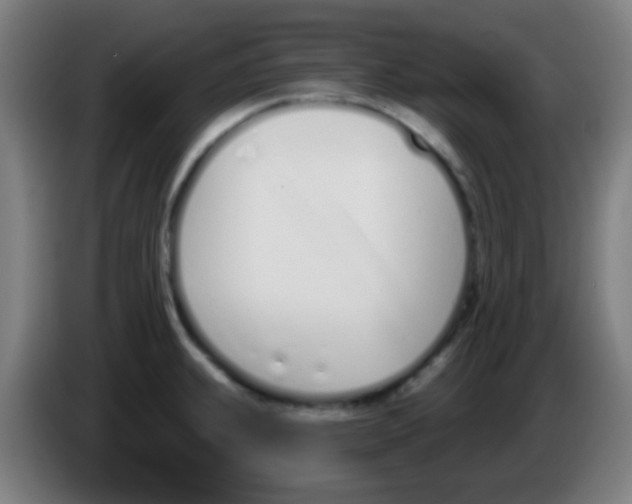 X0000086251239200704261929