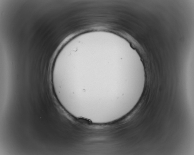 X0000086251240200704261929