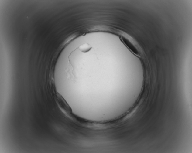 X0000086251241200704261929