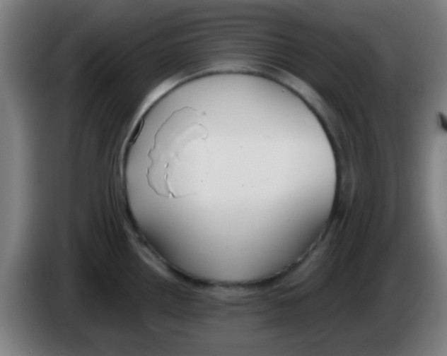 X0000086251242200704261929