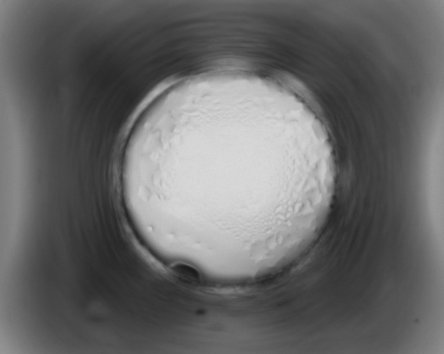X0000086251243200704261929