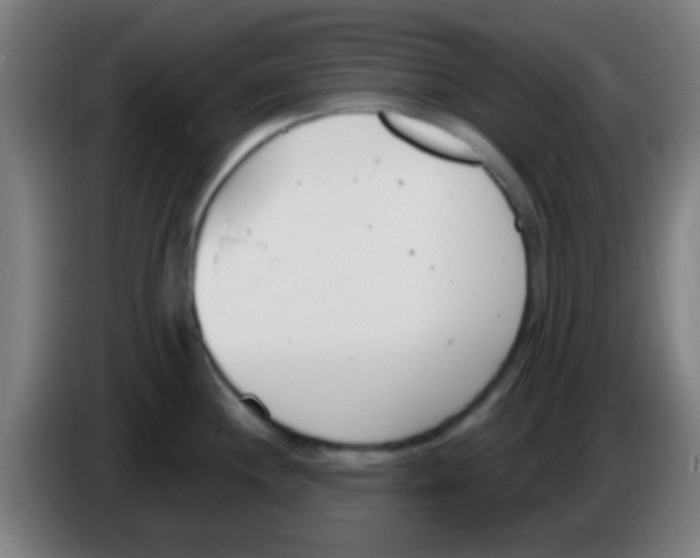 X0000086251244200704261929