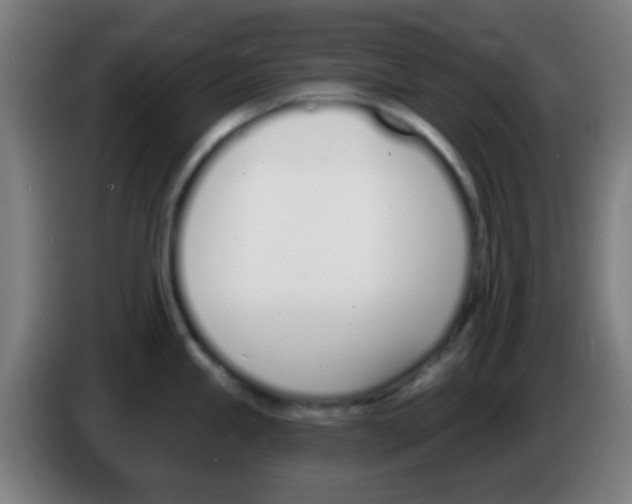 X0000086251245200704261929