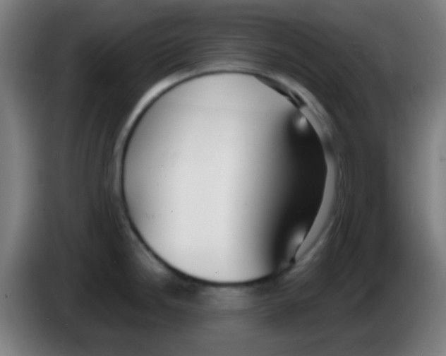 X0000086251246200704261929
