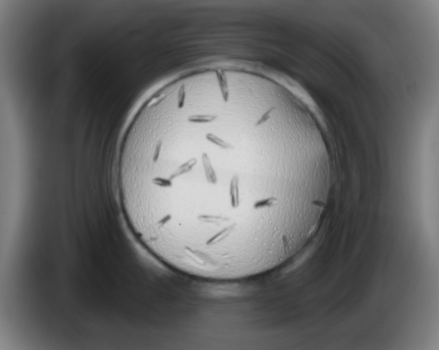 X0000086251247200704261929