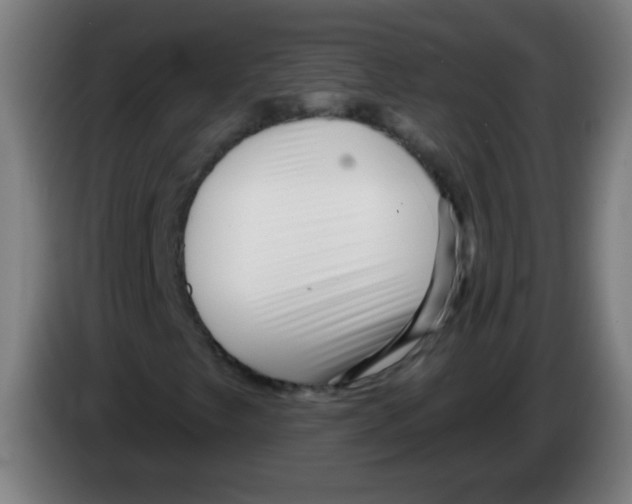X0000086251249200704261929