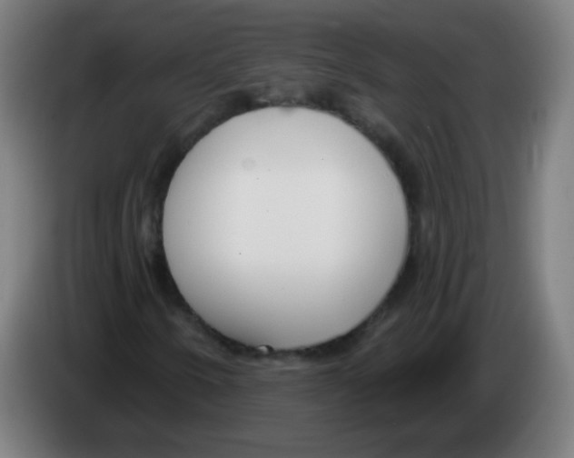 X0000086251250200704261929