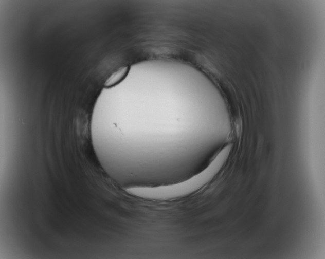 X0000086251251200704261929