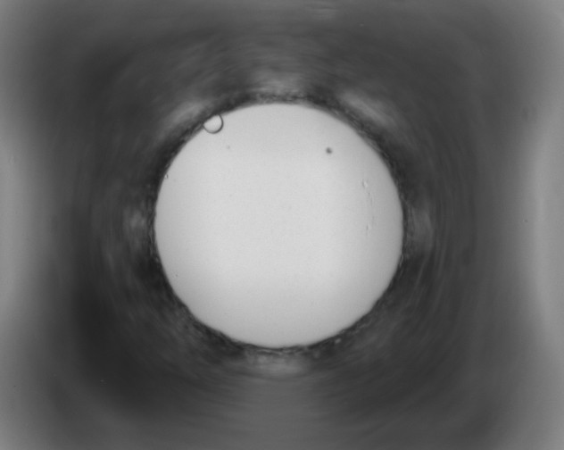 X0000086251254200704261929