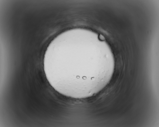 X0000086251255200704261929
