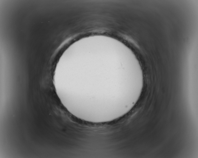 X0000086251256200704261929
