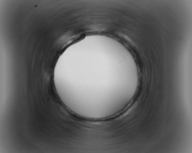 X0000086251257200704261929