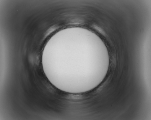 X0000086251258200704261929