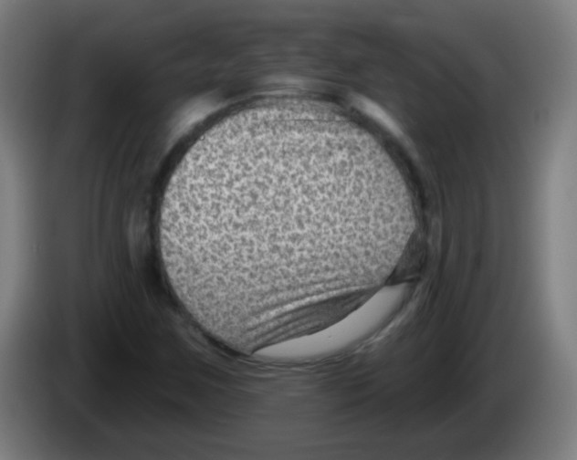 X0000086251259200704261929