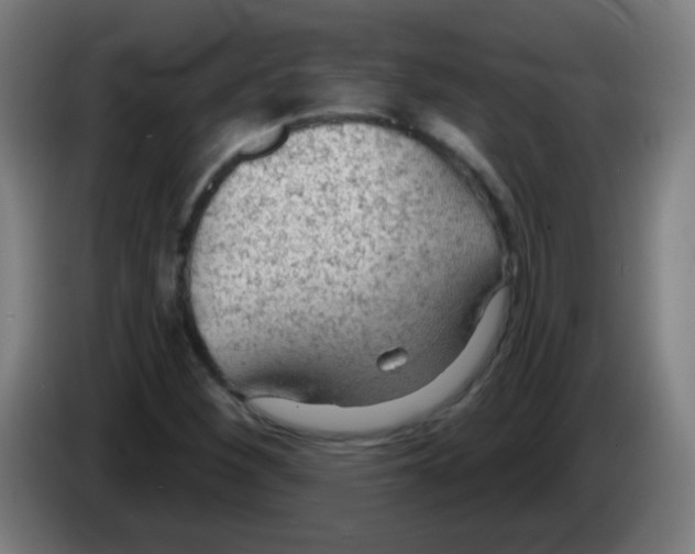 X0000086251260200704261929