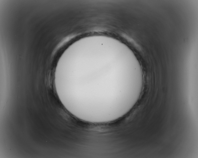 X0000086251262200704261929