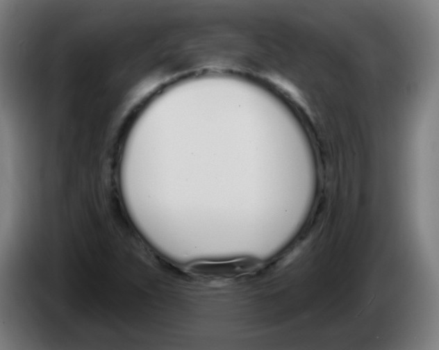 X0000086251263200704261929