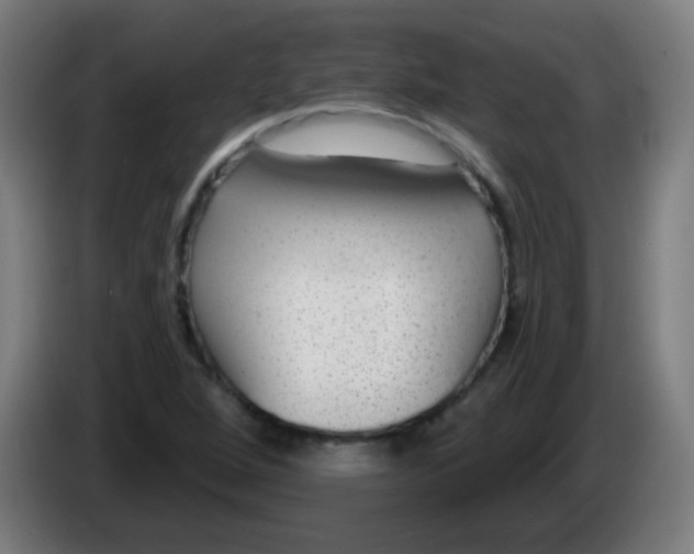 X0000086251264200704261929