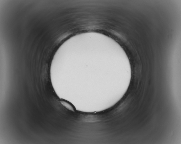 X0000086251265200704261929