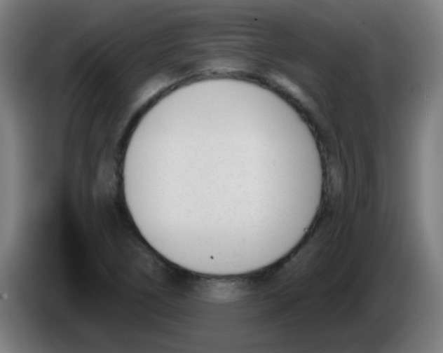 X0000086251266200704261929