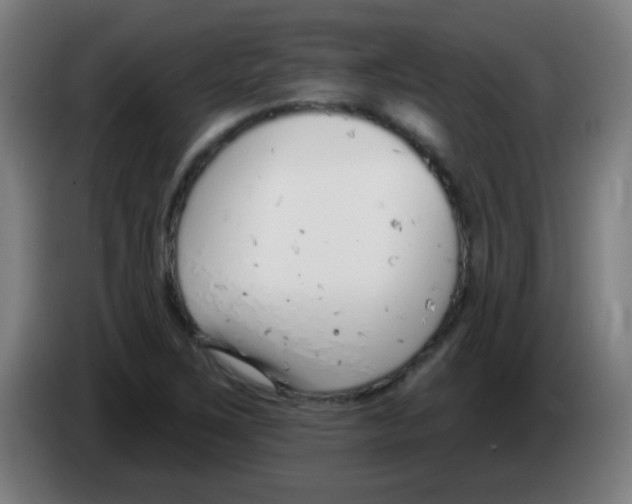 X0000086251267200704261929